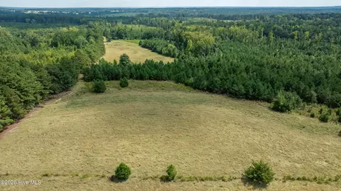 lot6 Simons Rd, Thomson, GA 30824 photo 6