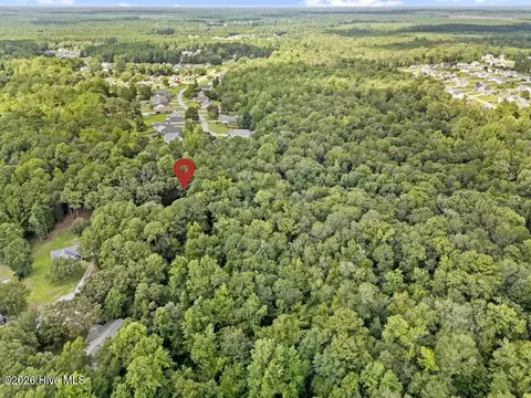 View/Area - 509 Maize Ct, Hubert, NC 28539 photo 9 of 9