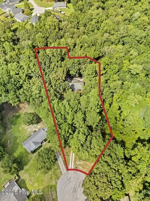 View/Area - 509 Maize Ct, Hubert, NC 28539 photo 1 of 9