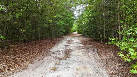 Other - 5 Bull Tail Rd, Wallace, NC 28466 photo 9 of 18