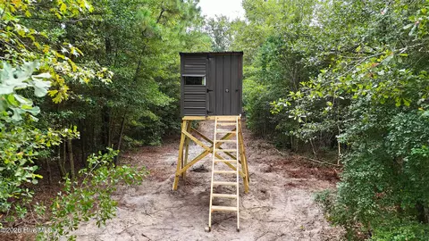 Other - 5 Bull Tail Rd, Wallace, NC 28466 photo 10 of 18