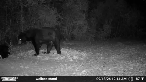Other - 5 Bull Tail Rd, Wallace, NC 28466 photo 17 of 18