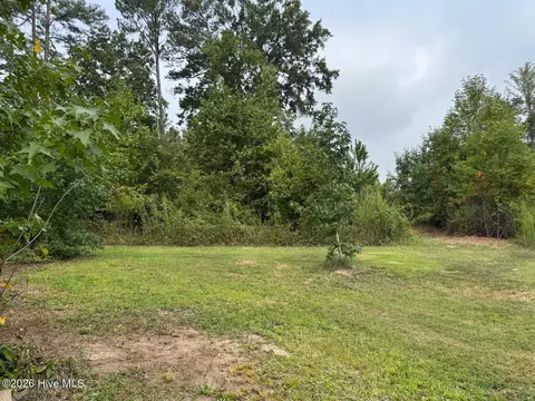 Other - 1595 Green Rd, Spring Hope, NC 27882 photo 7 of 14