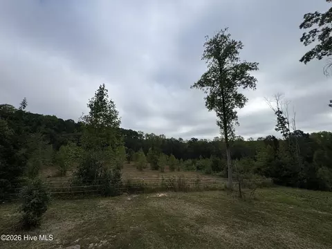Exterior - 1595 Green Rd, Spring Hope, NC 27882 photo 14 of 20