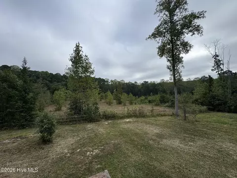 Exterior - 1595 Green Rd, Spring Hope, NC 27882 photo 13 of 20