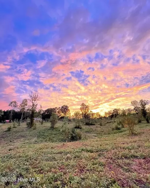 Other - 1595 Green Rd, Spring Hope, NC 27882 photo 14 of 14