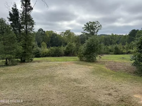 Exterior - 1595 Green Rd, Spring Hope, NC 27882 photo 10 of 20