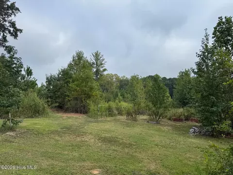 Exterior - 1595 Green Rd, Spring Hope, NC 27882 photo 16 of 20