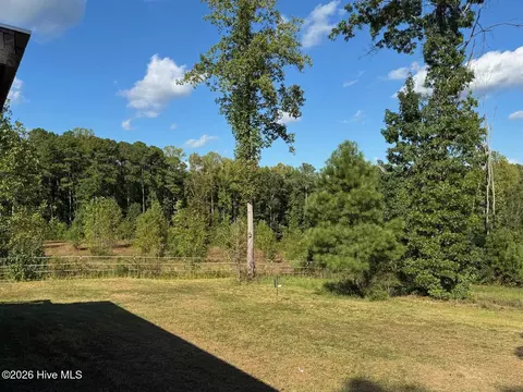 Exterior - 1595 Green Rd, Spring Hope, NC 27882 photo 18 of 20