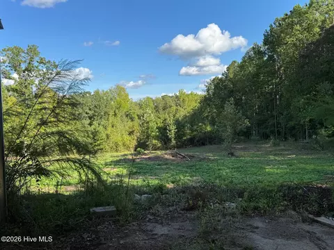 Exterior - 1595 Green Rd, Spring Hope, NC 27882 photo 20 of 20