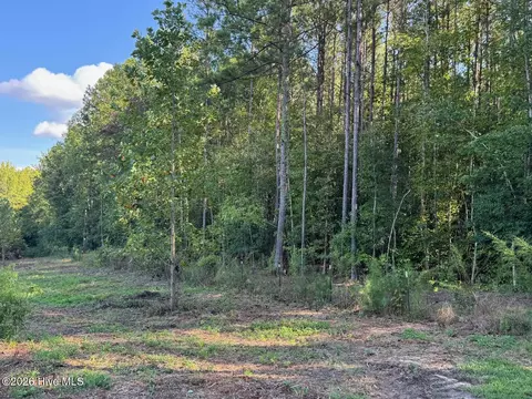 Other - 1595 Green Rd, Spring Hope, NC 27882 photo 10 of 14