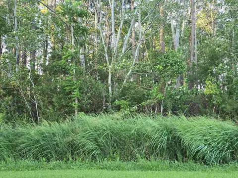104 Spindrift Trl, Elizabeth City, NC 27909