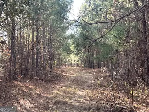 00 Thomas Rd, Millen, GA 30442