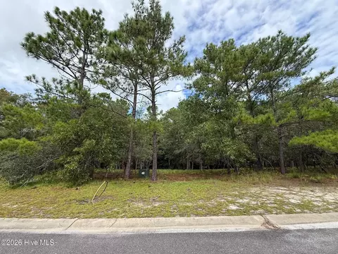 595 Ella Cir SE, Bolivia, NC 28422