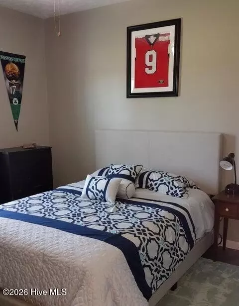 Bedroom - 201 Classy Ct, Richlands, NC 28574 photo 3 of 3