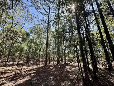 lot10 Marks Rd, Cameron, NC 28326 photo 14