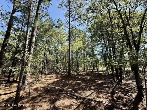 lot10 Marks Rd, Cameron, NC 28326 photo 16