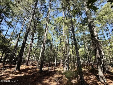 lot10 Marks Rd, Cameron, NC 28326 photo 17