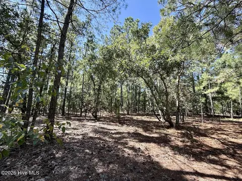 11 Marks Rd, Cameron, NC 28326 photo 13