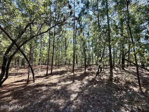11 Marks Rd, Cameron, NC 28326 photo 14