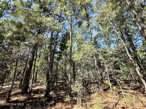 11 Marks Rd, Cameron, NC 28326 photo 12