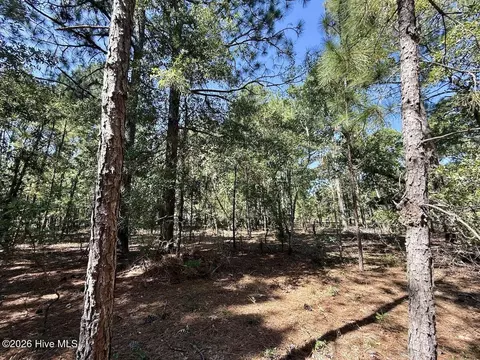 11 Marks Rd, Cameron, NC 28326 photo 16