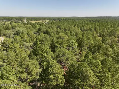 11 Marks Rd, Cameron, NC 28326 photo 8
