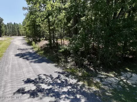 12 Marks Rd, Cameron, NC 28326 photo 11