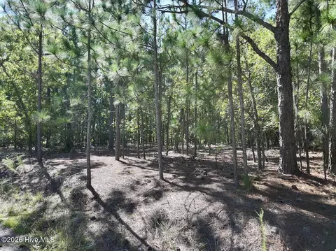 12 Marks Rd, Cameron, NC 28326 photo 12