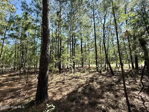 12 Marks Rd, Cameron, NC 28326 photo 17