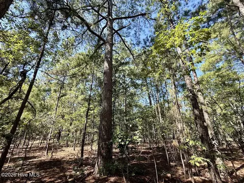 12 Marks Rd, Cameron, NC 28326 photo 19