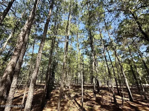 12 Marks Rd, Cameron, NC 28326 photo 18