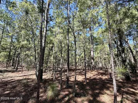 12 Marks Rd, Cameron, NC 28326 photo 16