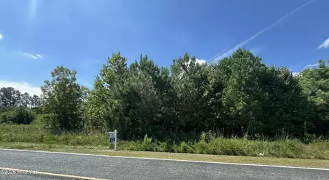 1923 Leonard Rich Rd, Magnolia, NC 28453