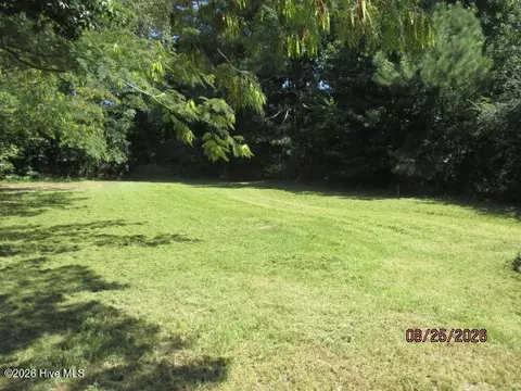 Exterior - 424 Louise St, Winfall, NC 27985 photo 6 of 8
