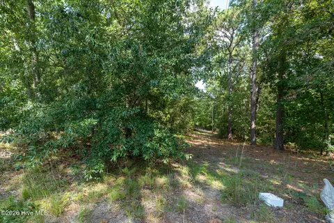 3 Glory Rd, Hamlet, NC 28345 photo 13