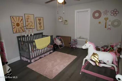 Bedroom - 8153 Haw Branch Rd, Bailey, NC 27807 photo 6 of 8