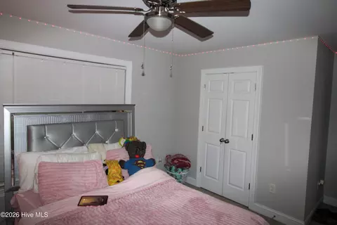 Bedroom - 8153 Haw Branch Rd, Bailey, NC 27807 photo 5 of 8
