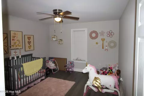 Bedroom - 8153 Haw Branch Rd, Bailey, NC 27807 photo 7 of 8