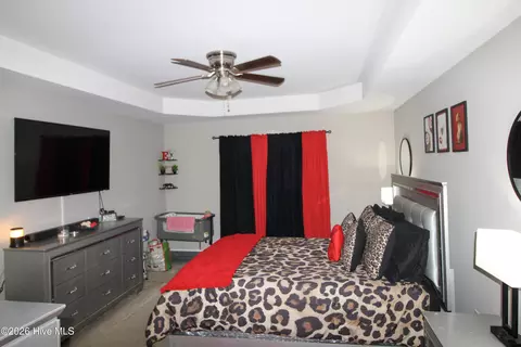 Bedroom - 8153 Haw Branch Rd, Bailey, NC 27807 photo 2 of 8