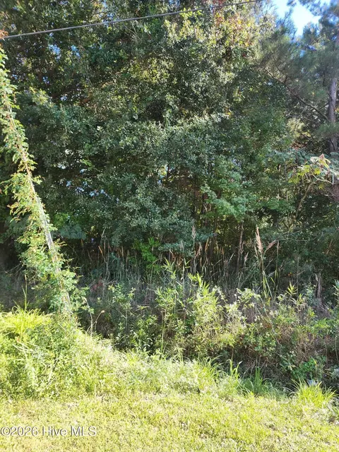lot3 4 Hayes West St, Burgaw, NC 28425