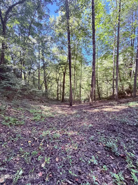 6309 Fairview Rd, Marble, NC 28905 photo 17