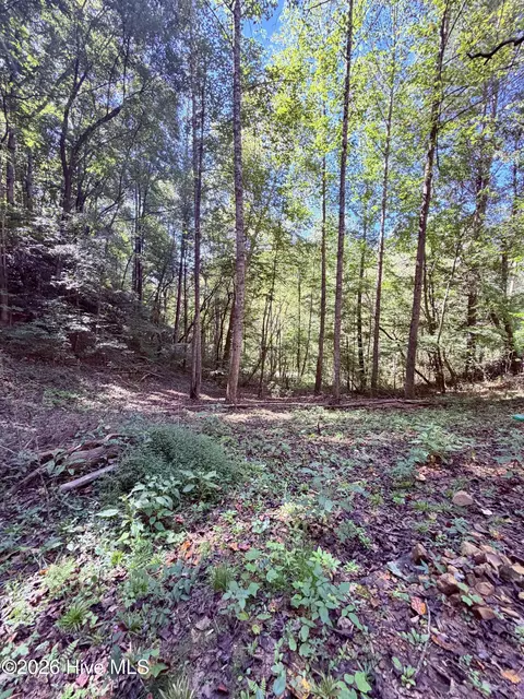 6309 Fairview Rd, Marble, NC 28905 photo 16