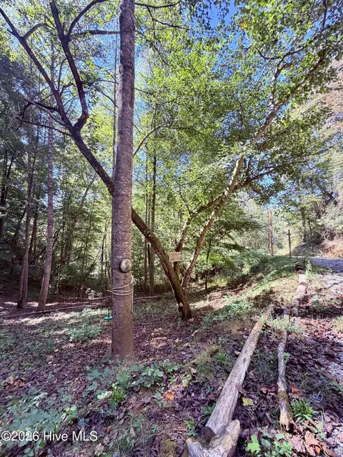 6309 Fairview Rd, Marble, NC 28905 photo 14