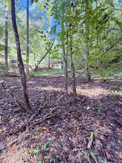 6309 Fairview Rd, Marble, NC 28905 photo 18