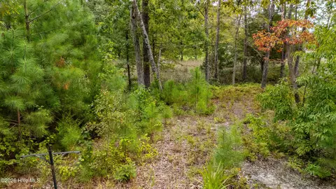 Other - 174 Marsh Run, Oriental, NC 28571 photo 13 of 13