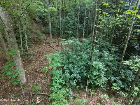 00 Collett Creek Rd, Andrews, NC 28901