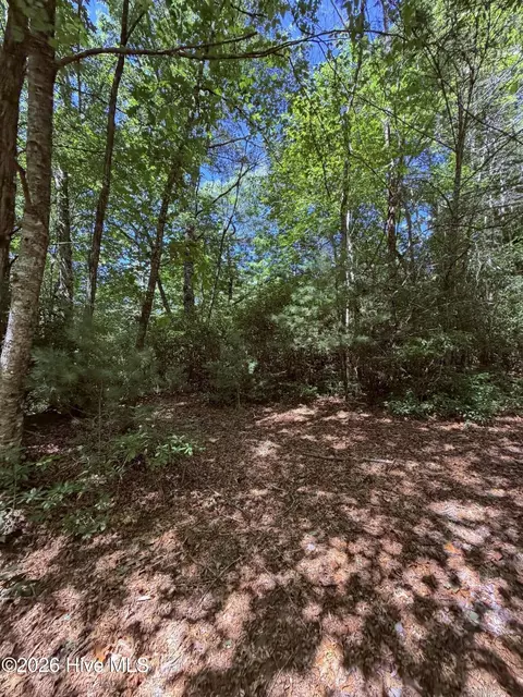 lot12 Holly Ridge Dr, Topton, NC 28781