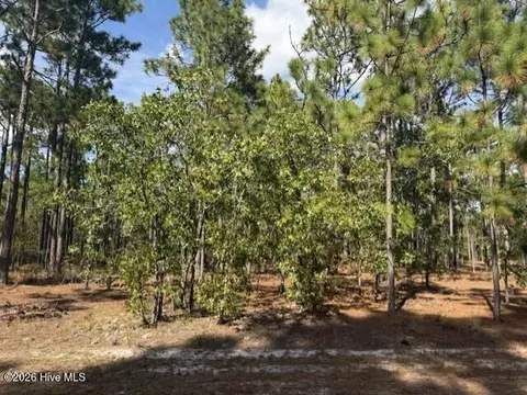 125 Bay Ridge Rd, Harrells, NC 28444