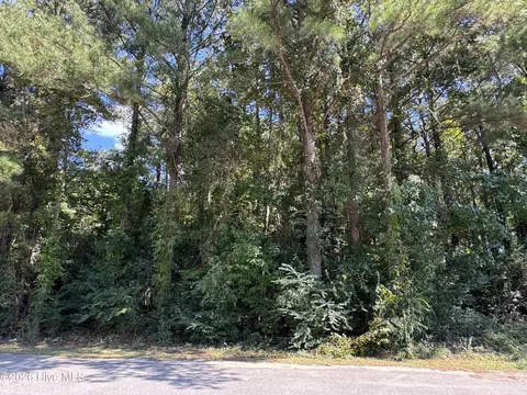 90 Honey Hill Drive, Hallsboro, NC 28442